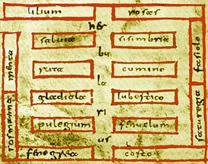Herbularius in forma Monasterii Sancti Galli - (pergamenum, ca. 800)